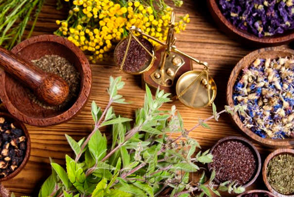 Приготовление чаев для лечения гельминтов