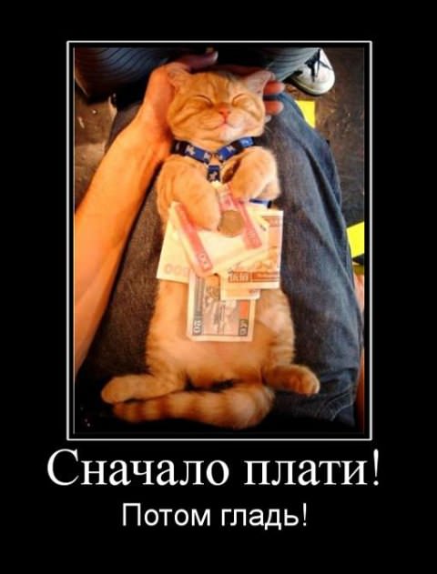 Демотиваторы про деньги
