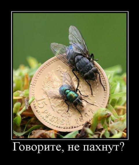 Демотиваторы про деньги