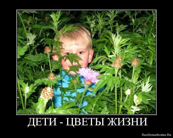 Демотиваторы про детей