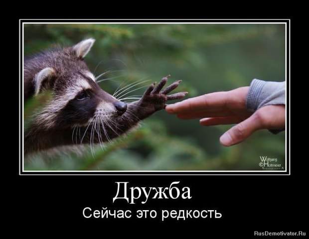 Демотиваторы про дружбу
