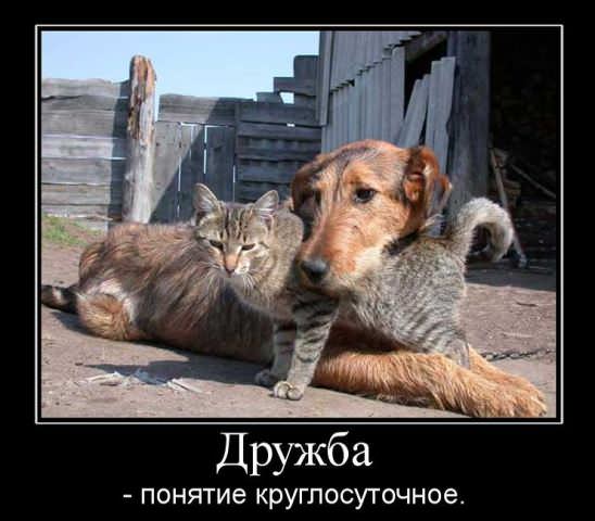 Демотиваторы про дружбу