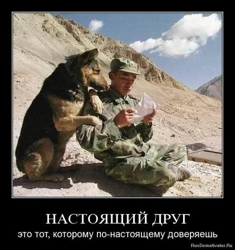 Демотиваторы про дружбу