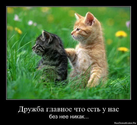 Демотиваторы про дружбу