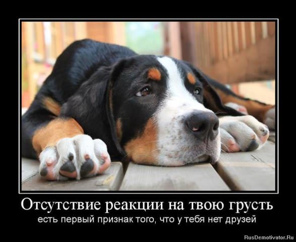 Демотиваторы про дружбу