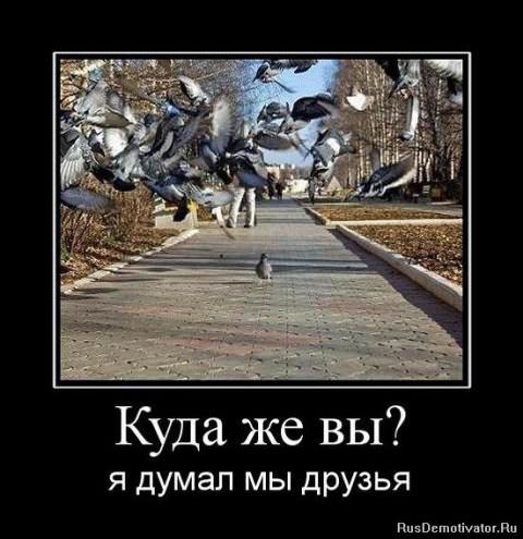 Демотиваторы про дружбу
