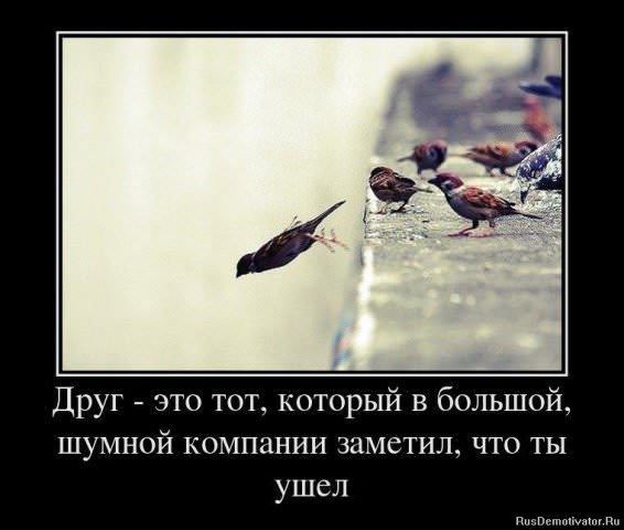 Демотиваторы про дружбу