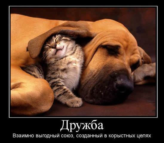 Демотиваторы про дружбу