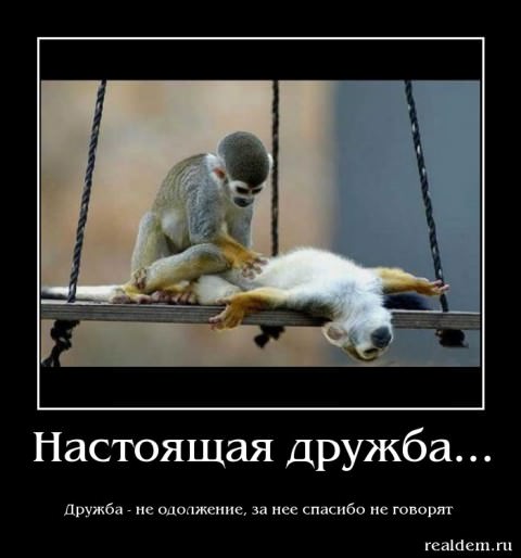 Демотиваторы про дружбу