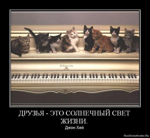 Демотиваторы про дружбу