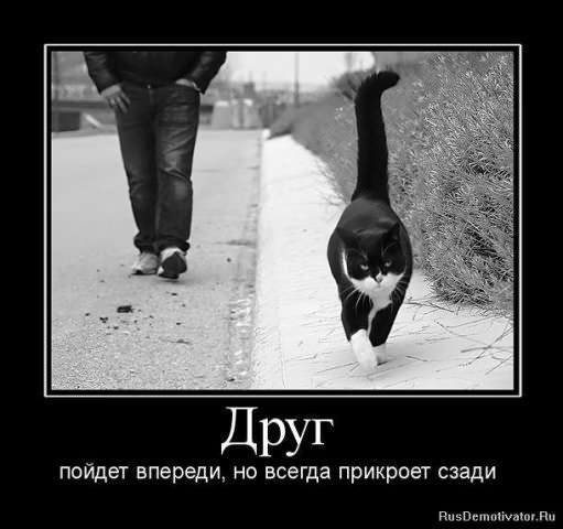 Демотиваторы про дружбу