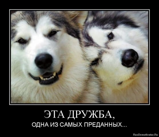 Демотиваторы про дружбу