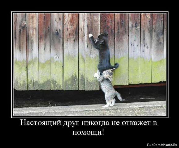 Демотиваторы про дружбу