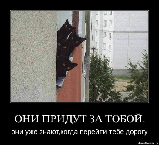 Демотиваторы про животных