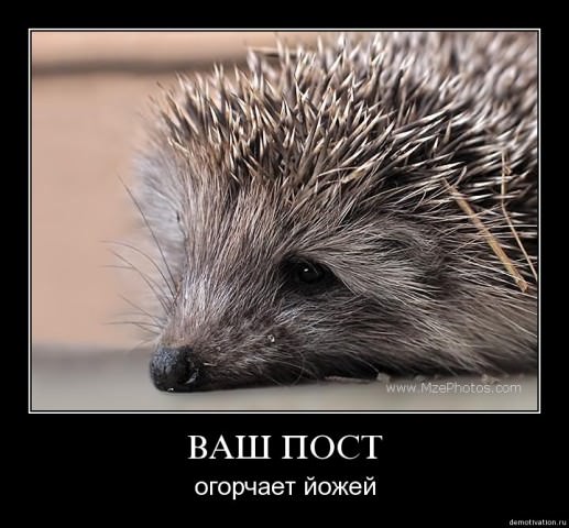 Демотиваторы про животных