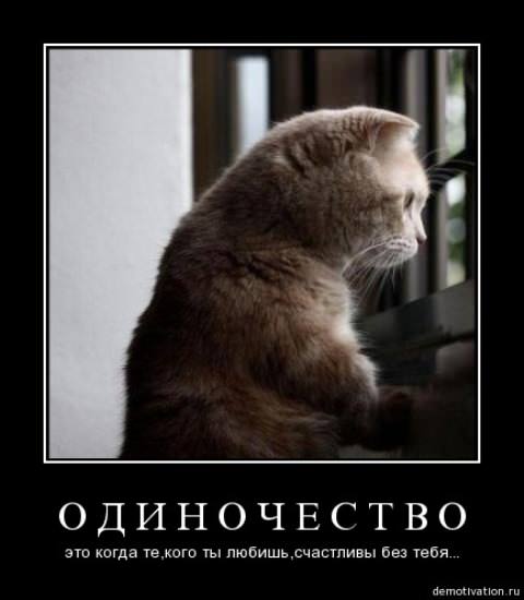 Демотиваторы про животных