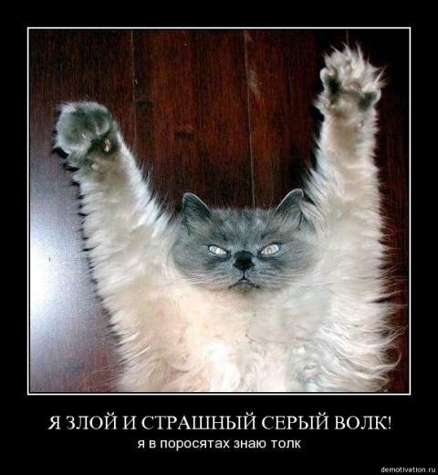Демотиваторы про животных