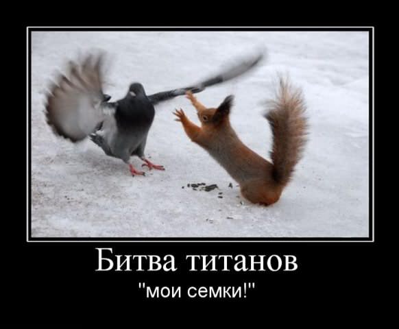 Демотиваторы про животных