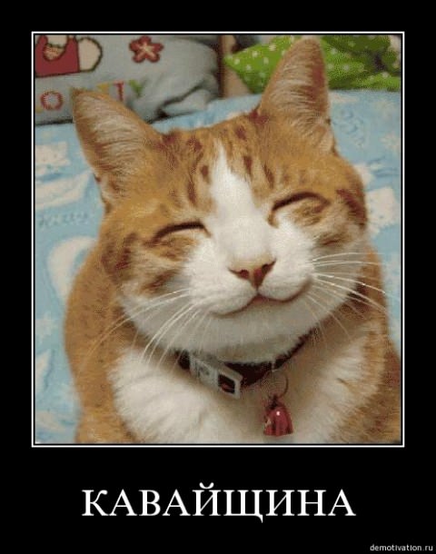 Демотиваторы про животных