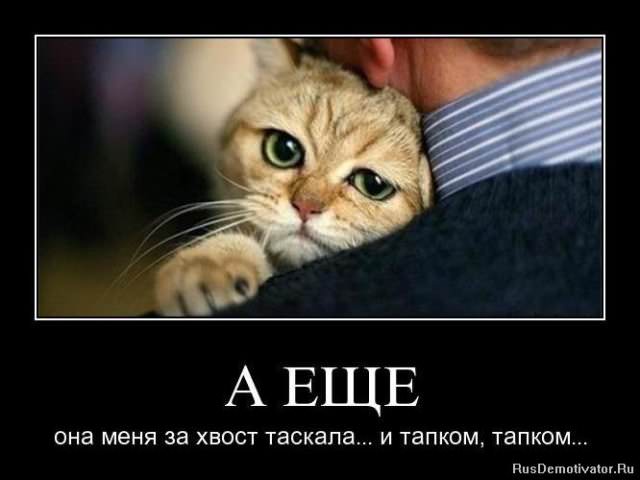 Демотиваторы про животных