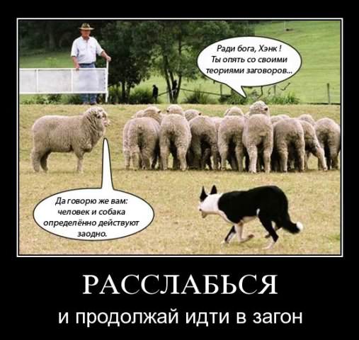 Демотиваторы про животных