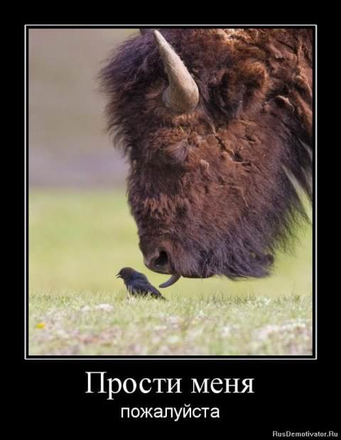 Демотиваторы про животных