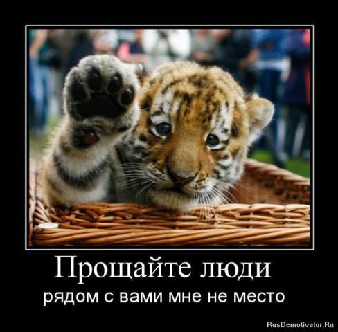 Демотиваторы про животных