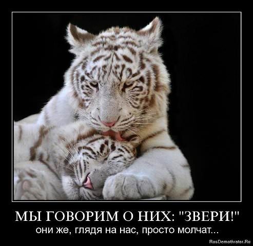 Демотиваторы про животных
