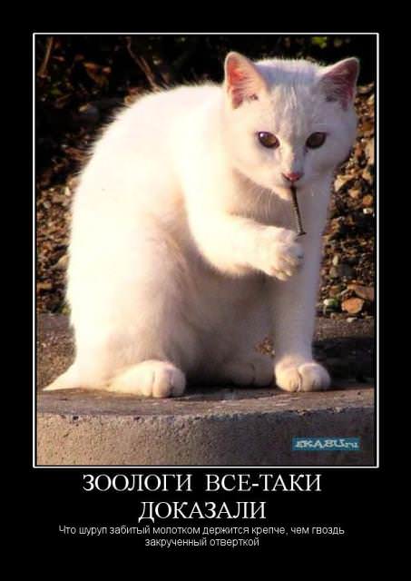 Демотиваторы про животных