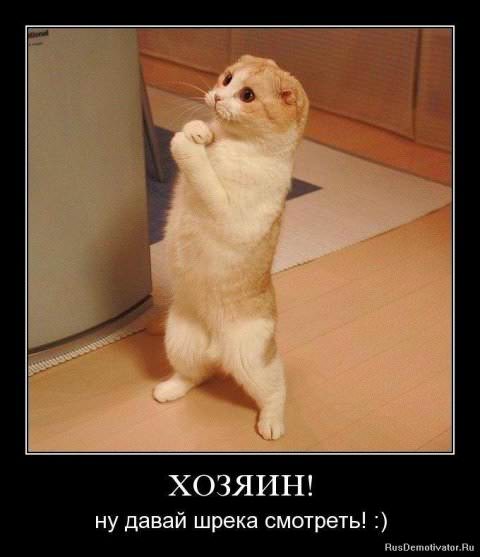 Демотиваторы про животных