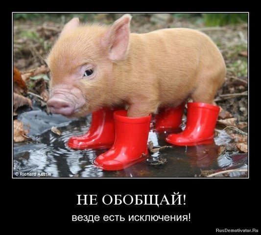 Демотиваторы про животных