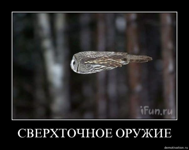 Демотиваторы про животных