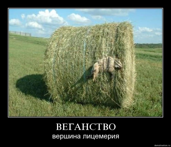 Демотиваторы про животных