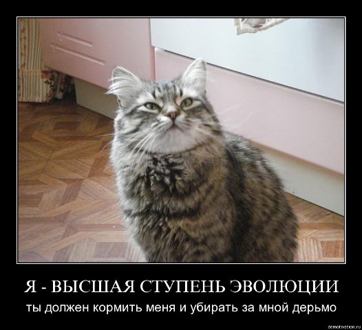 Демотиваторы про животных