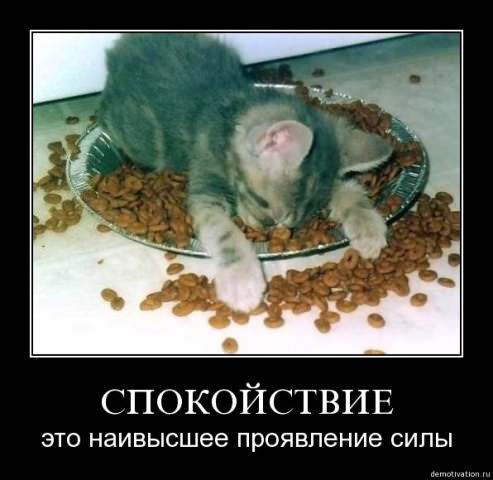 Демотиваторы про животных