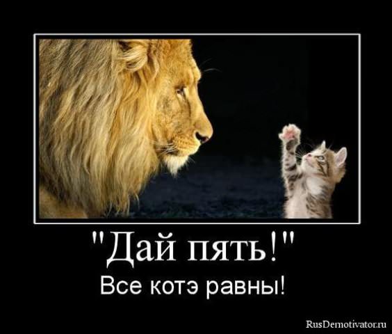 Демотиваторы про коте