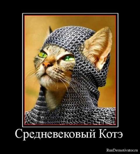 Демотиваторы про коте