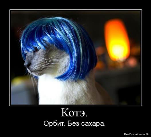 Демотиваторы про коте