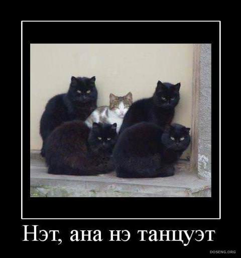 Демотиваторы про любовь