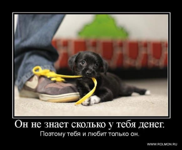 Демотиваторы про любовь