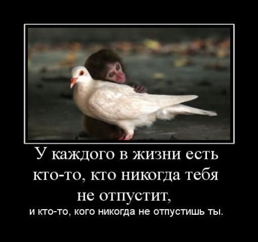 Демотиваторы про любовь