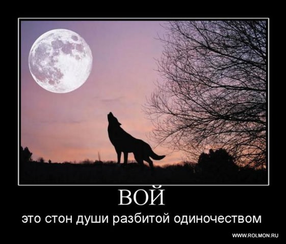 Демотиваторы про любовь