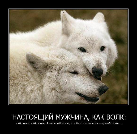 Демотиваторы про мужчин