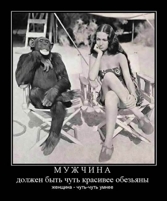 Демотиваторы про мужчин