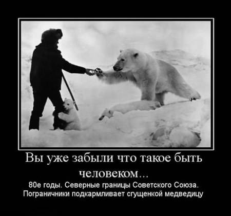 Демотиваторы про мужчин