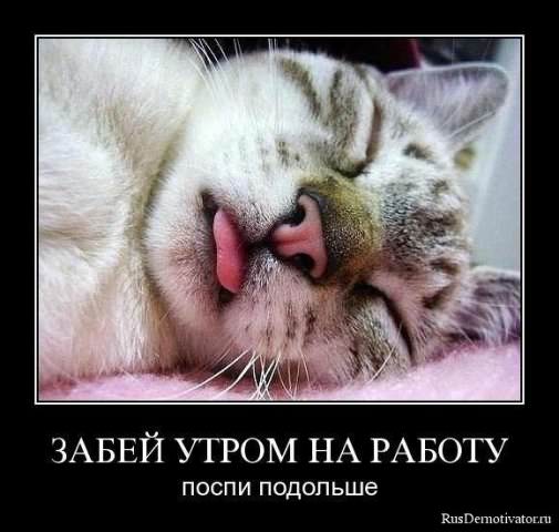 Демотиваторы про работу