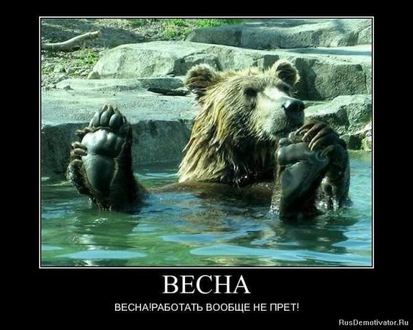 Демотиваторы про работу