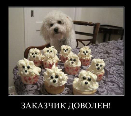 Демотиваторы про собак