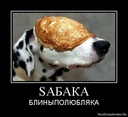 Демотиваторы про собак