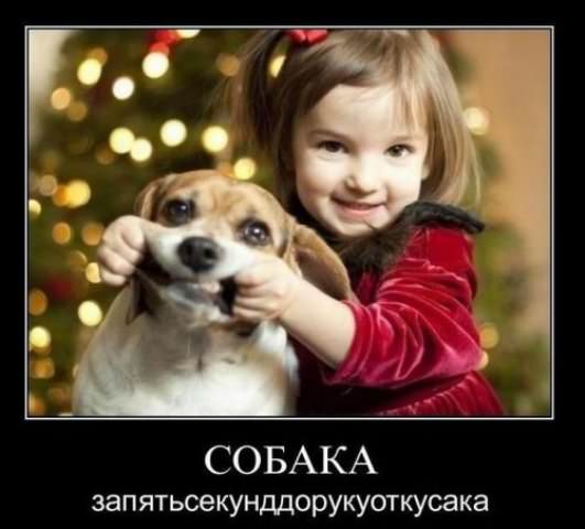 Демотиваторы про собак